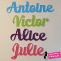 Pr&eacute;noms personnalisables sur support  PVC 